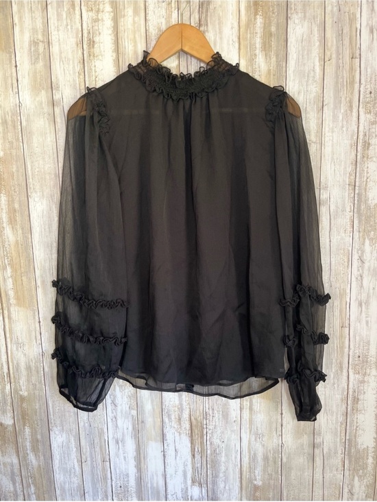 Ann Taylor Tops - Ann Taylor Sheer Black Ruffle Blouse Romantic Boho Long Sleeve High Neck Top M